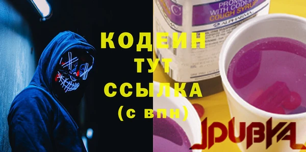 ПСИЛОЦИБИНОВЫЕ ГРИБЫ Арсеньев