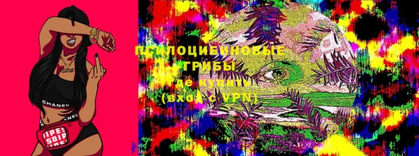 ПСИЛОЦИБИНОВЫЕ ГРИБЫ Арсеньев