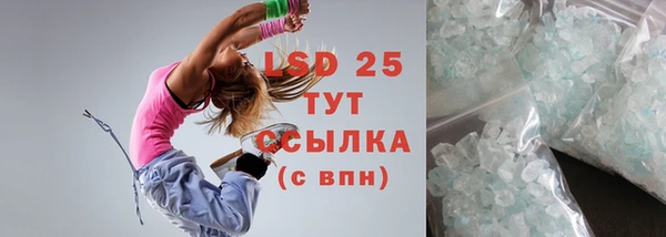 ПСИЛОЦИБИНОВЫЕ ГРИБЫ Арсеньев