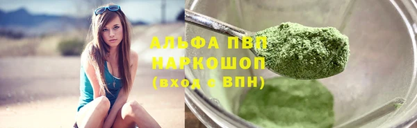ECSTASY Новозыбков