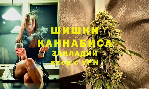 ПСИЛОЦИБИНОВЫЕ ГРИБЫ Арсеньев