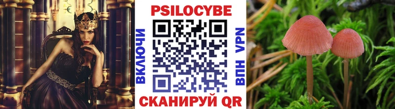 Галлюциногенные грибы MAGIC MUSHROOMS  гидра зеркало  Нязепетровск 